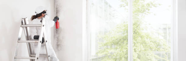 Best Airborne Mold Testing  in East Rancho Dominguez, CA