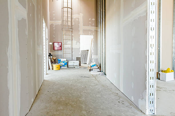 Best Comprehensive Air Testing for Mold Contaminants  in East Rancho Dominguez, CA