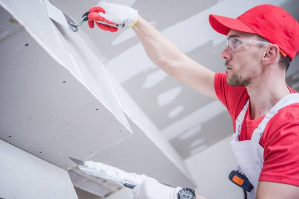 Trusted East Rancho Dominguez, CA Mold Removal Experts